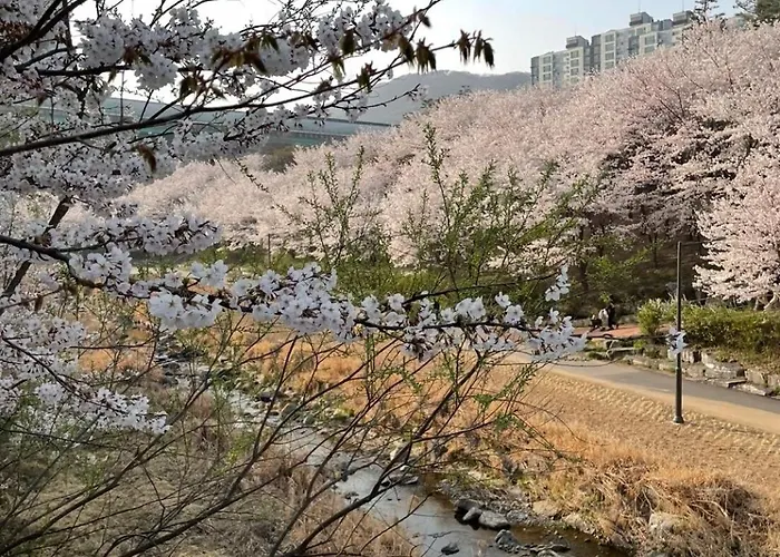 Near Seongsu Songjeong 아파트 *